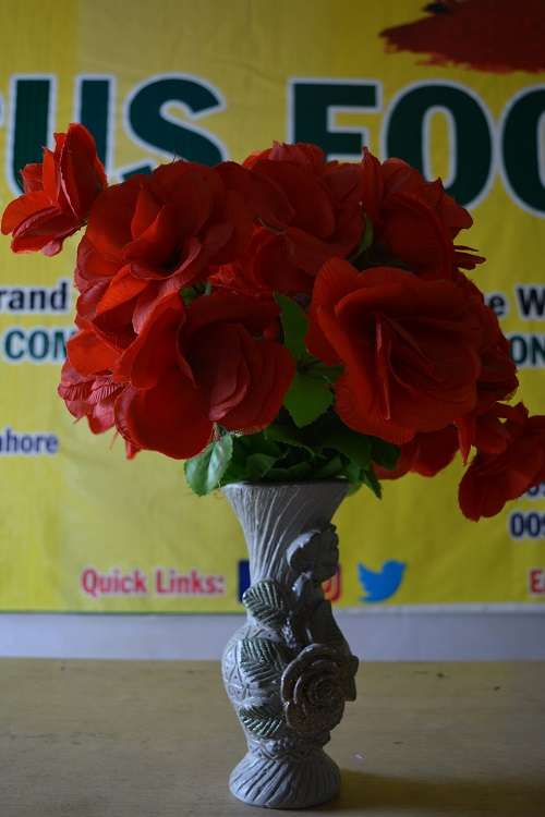 Our Mission - Purus Foods